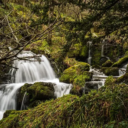 Eco Dos Teixos Casayo