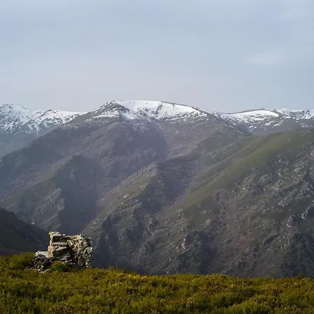 Hostal Eco Dos Teixos *