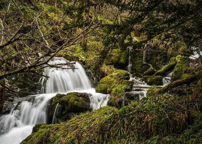 Eco Dos Teixos Casayo