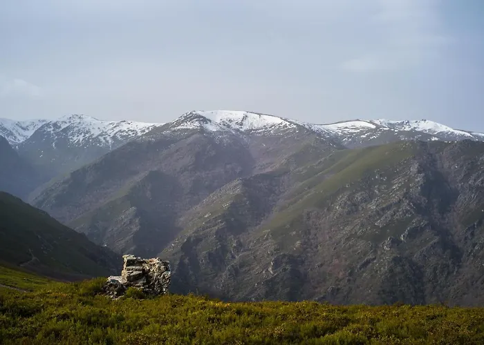 Hostel Eco Dos Teixos *