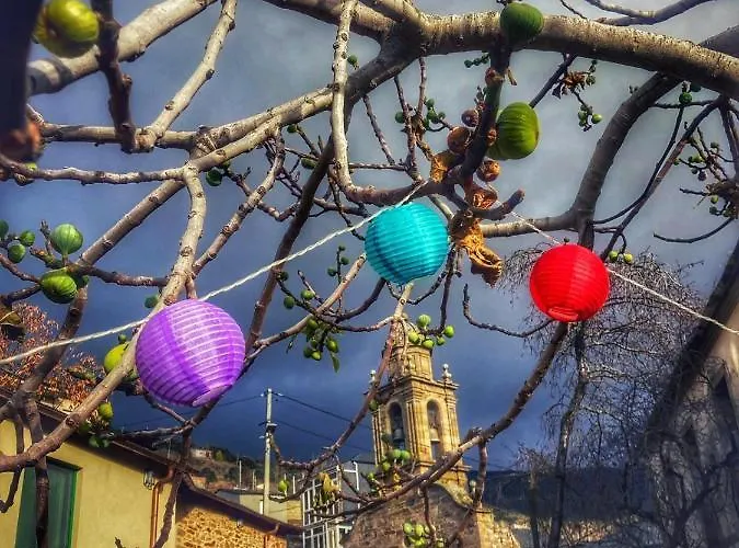 Hostel Eco Dos Teixos *